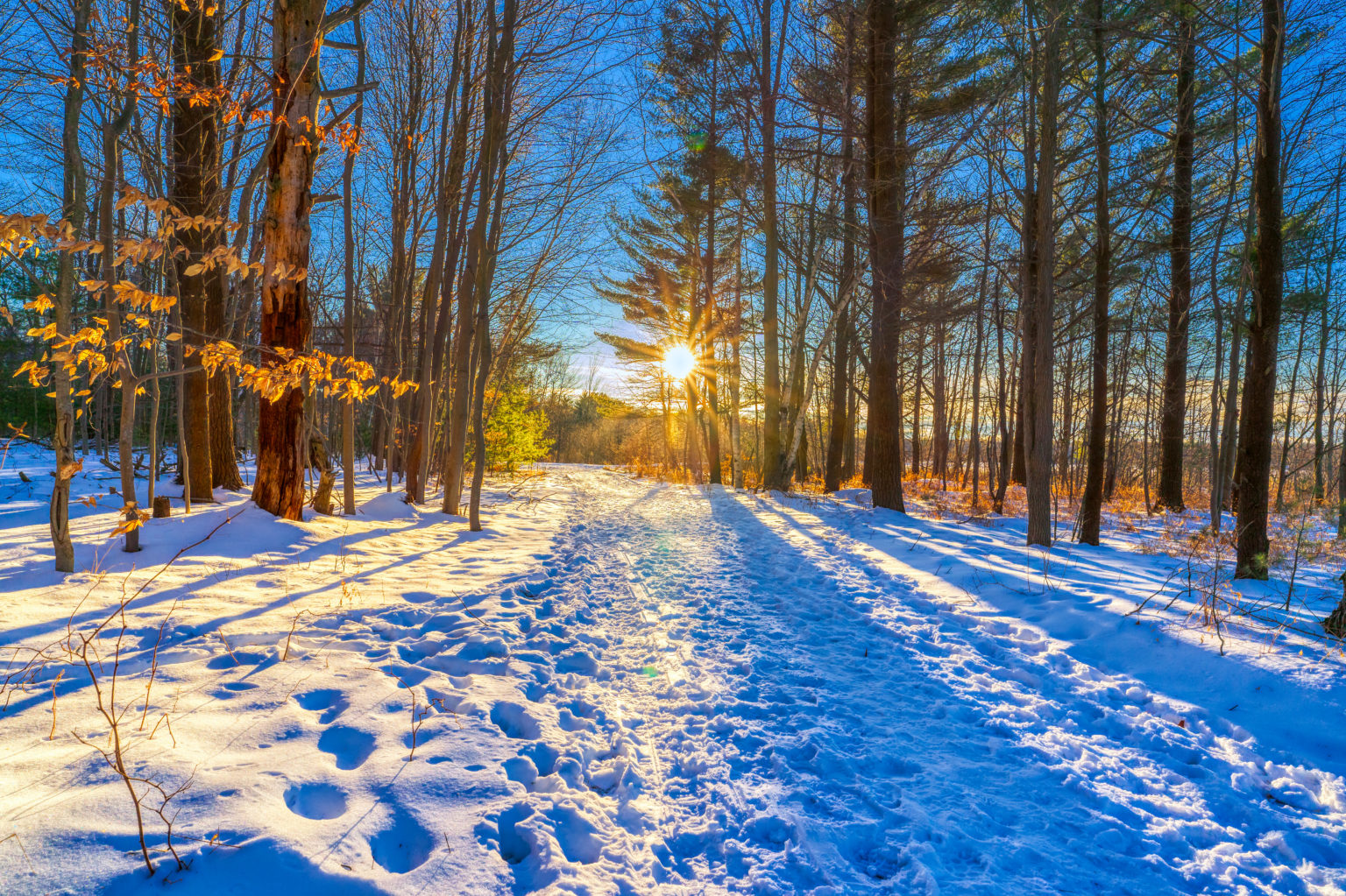 Norton Shores Parks and Rec